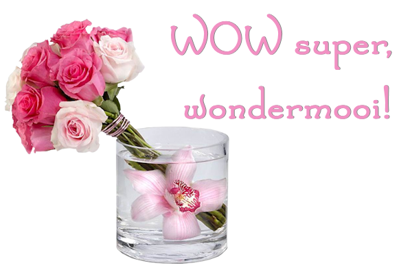 2 Wow super.png