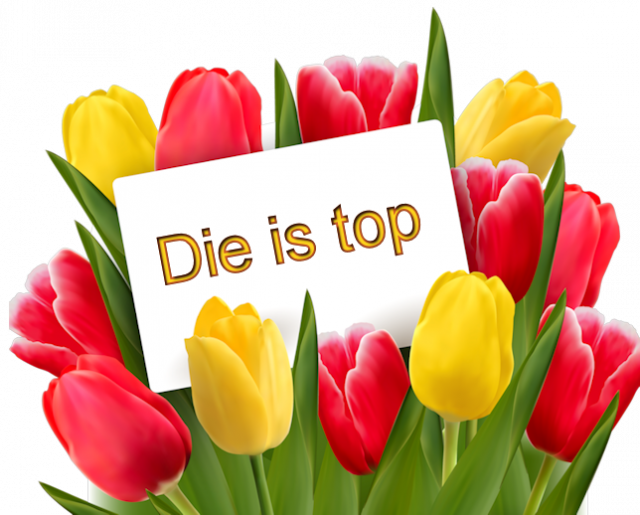 Tulpen-die is top.p…