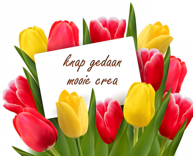 Tulpen-knap gedaan.…