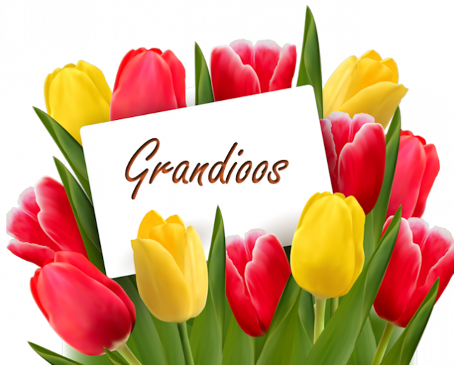 Tulpen-grandioos.png