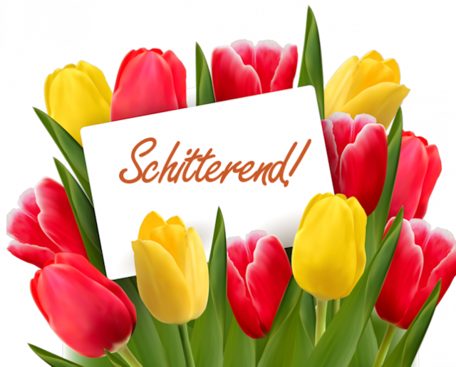 Tulpen-schitterend.…