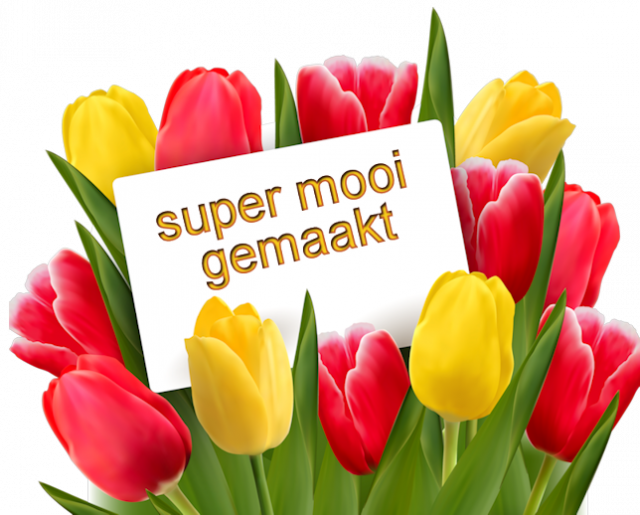 Tulpen-super mooi.p…