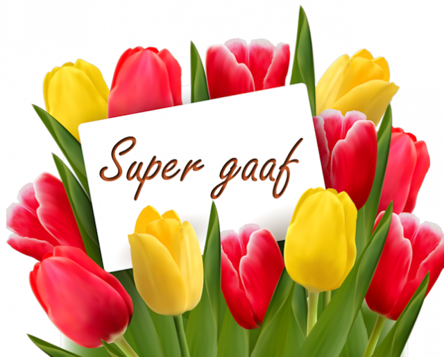 Tulpen-supergaaf.png