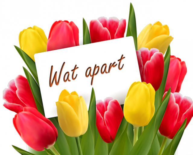 Tulpen-wat apart.png
