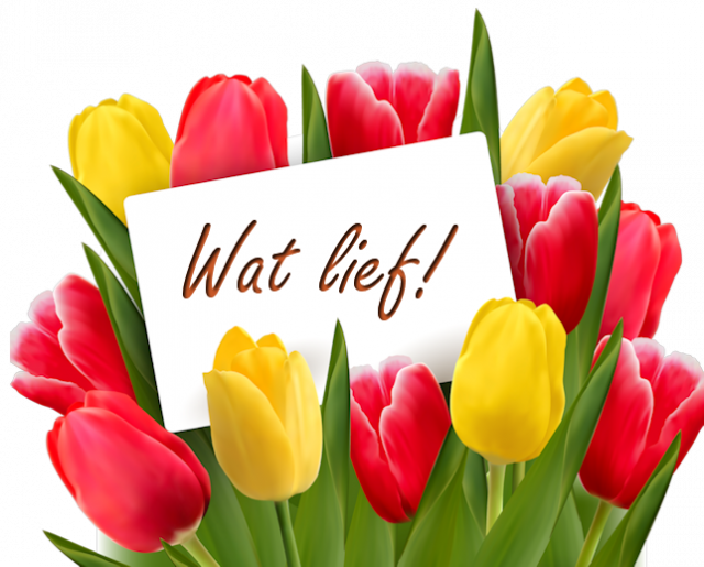 Tulpen-watlief.png